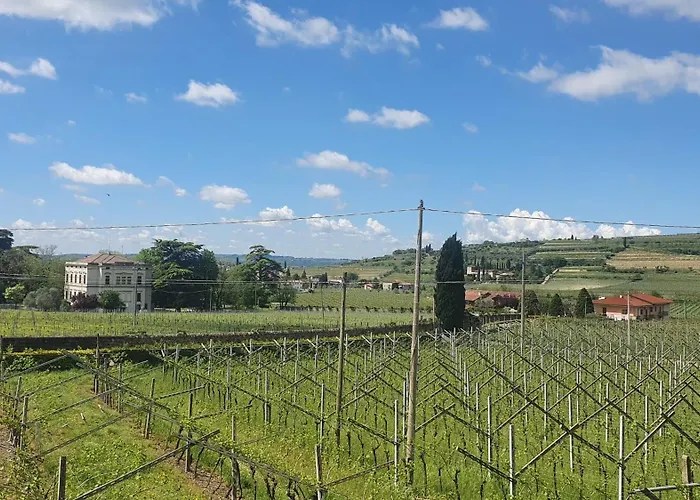 Sottovilla Soardi Konukevi