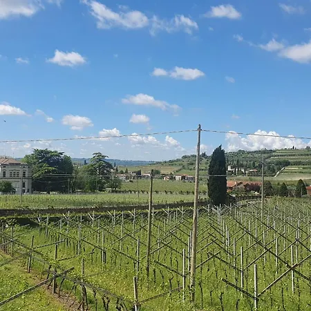 Sottovilla Soardi Pensjonat